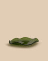 A large, hand-crafted glass plate in an elegant olive green shade with a soft, wavy petal design on the edges, perfect for serving or as a decorative piece.